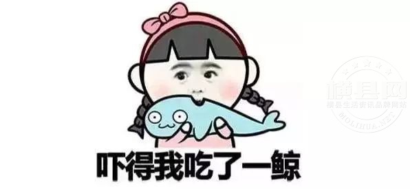 微信图片_20180718105433.jpg