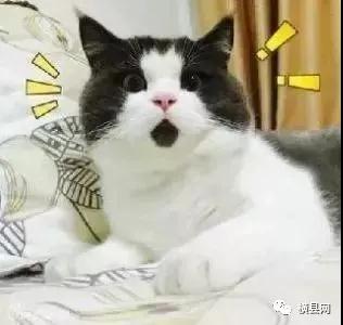 微信图片_20180805094357.jpg