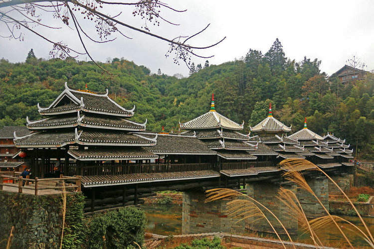 IMG_7113_副本.JPG
