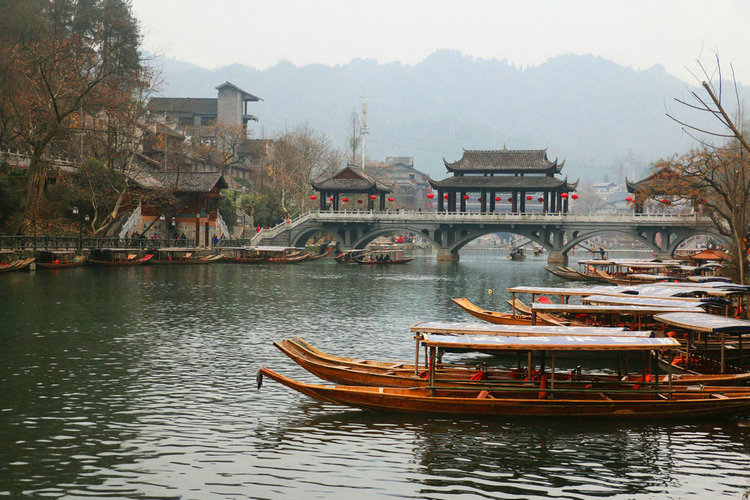 IMG_7271_副本.JPG