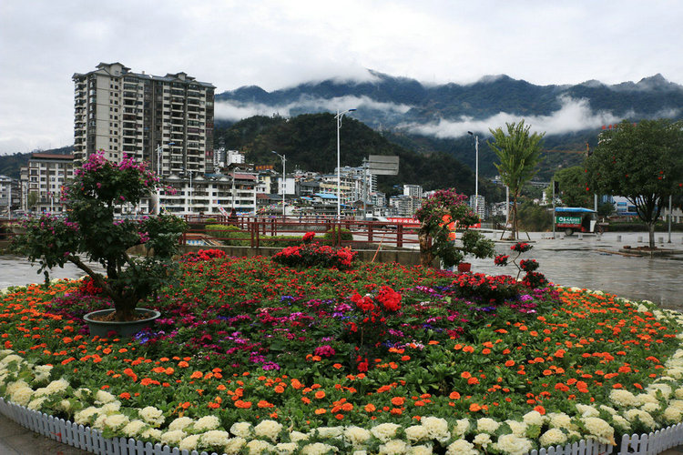 IMG_7737.jpg