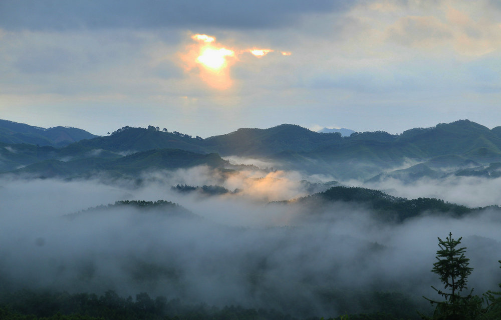 IMG_5774_副本.jpg