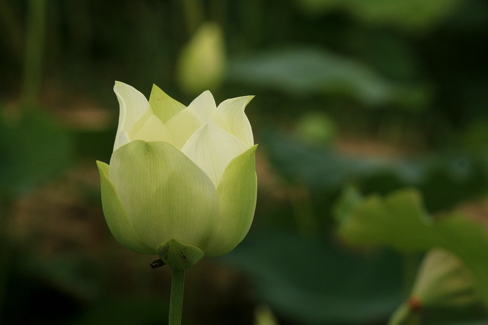 IMG_6748_副本.jpg