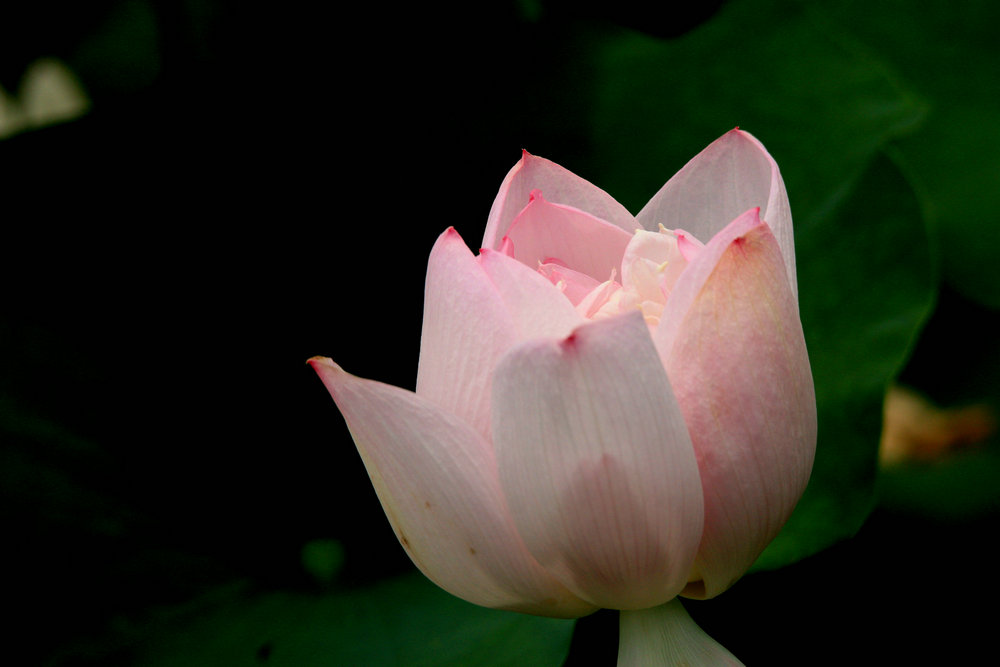 IMG_6796_副本.jpg