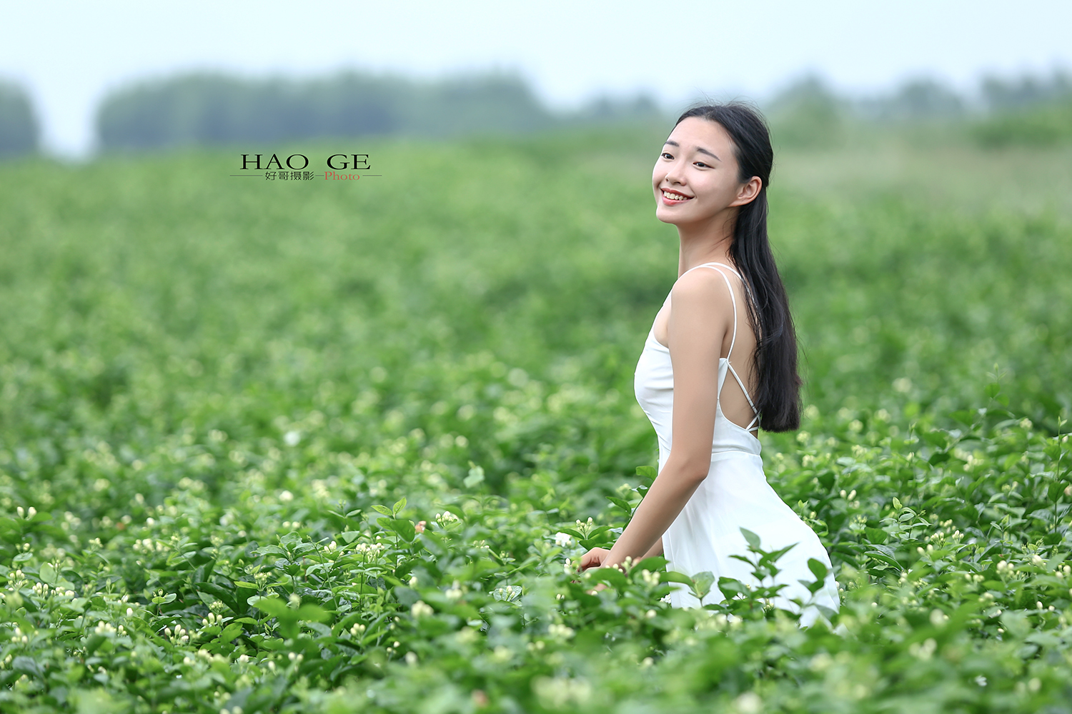 8A8B9055bb.jpg