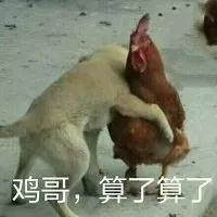 微信图片_20181213085349.jpg