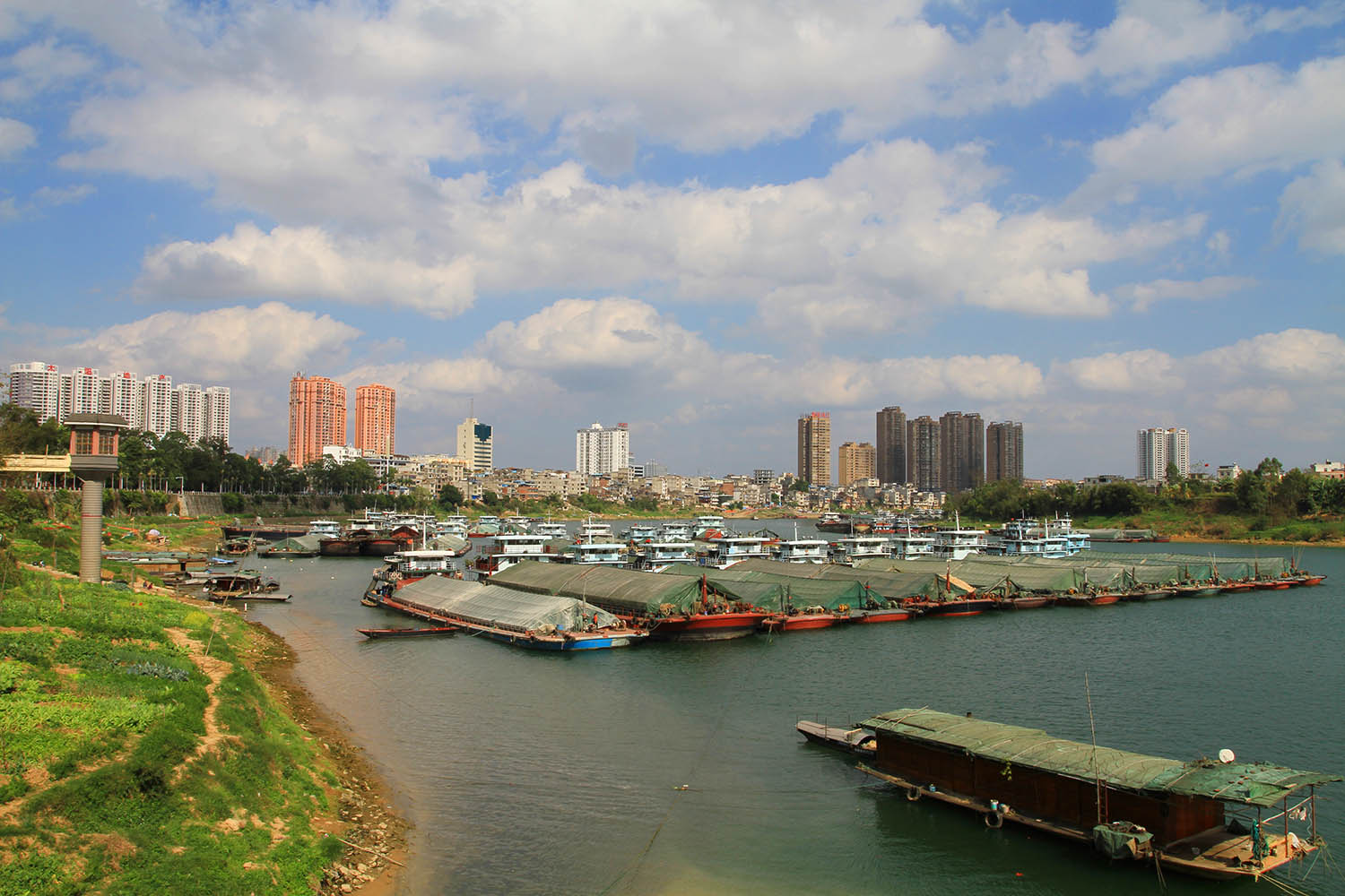 IMG_7260.jpg