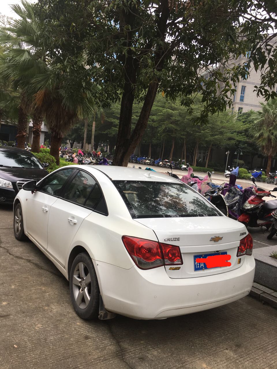 微信图片_201903081442171.jpg
