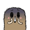 2.gif