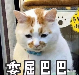 微信截图_20190402092225.png