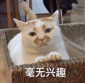 微信截图_20190422095413.png