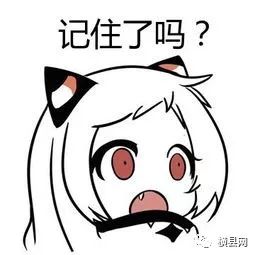 084336z056ec00osak5ee6.jpg