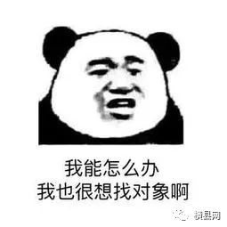 143551a119ezt3oteh9tl3.jpg