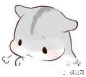 085521xnccuhgyyfcogcgp.jpg