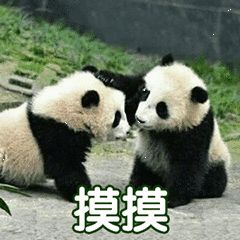 090120t00dfox4nox0f0bn.jpg