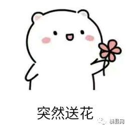 105256sdcjhkstdkzj9h4h.jpg