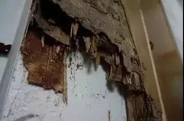 085634gu9p6pe1mbzn7qh9.jpg