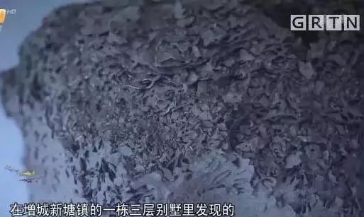 085635nid7iei7tn5t7m5m.jpg