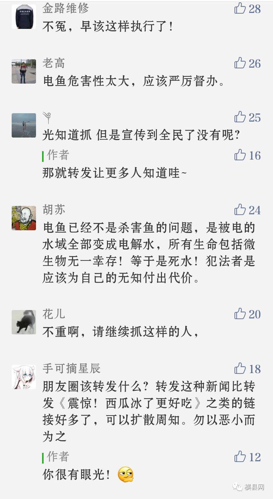 104125ciciibbicibl2vqq.jpg