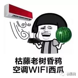 085001j21ogalco2jtaqiv.jpg