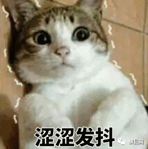 090013ajen1vezjnjnvesj.jpg