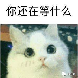 091524dpn4b4kzlb3ld9bk.jpg