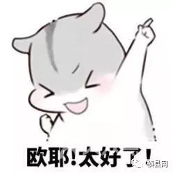 084458oqiimrqxcfpil4oi.jpg