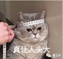091722p80mao3t3kbx9ta5.jpg