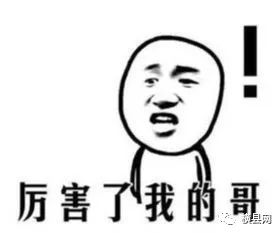 085627y61d1450d0ydy3zs.jpg