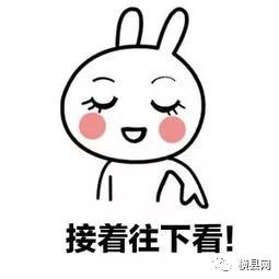090034l7yyza73zap9ppap.jpg
