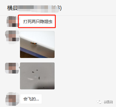 090931ms0oouo2suou2if0.jpg