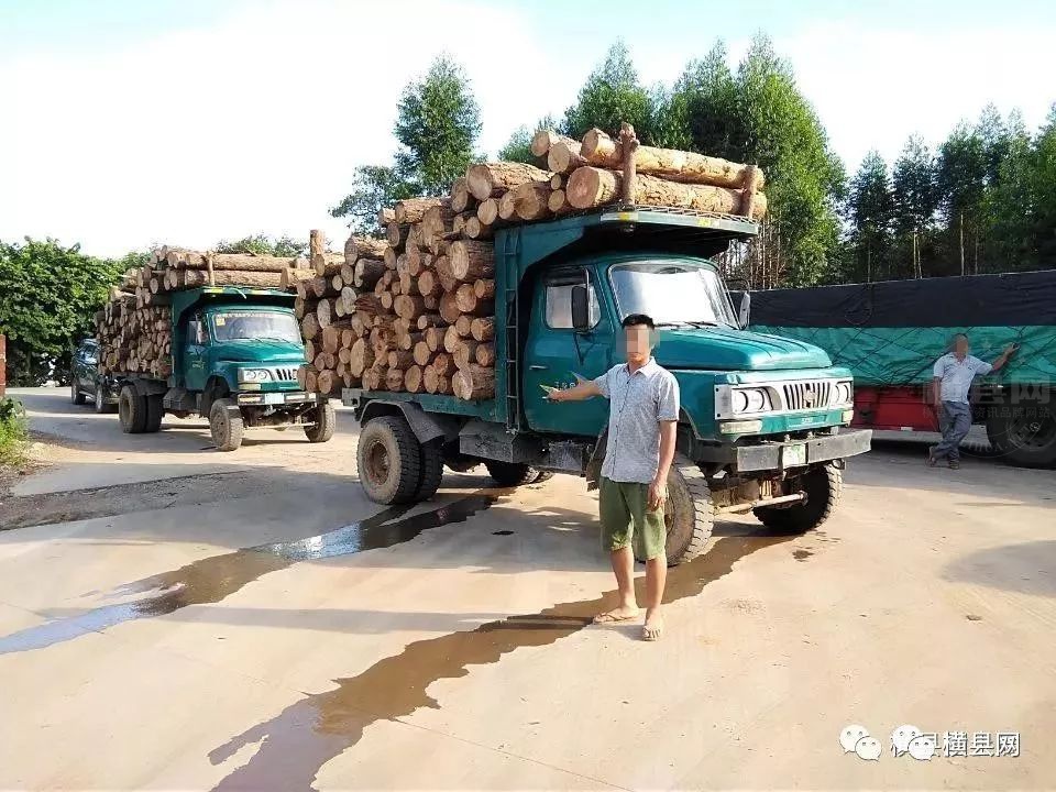 090543vzpyyazyoyyuayk8.jpg