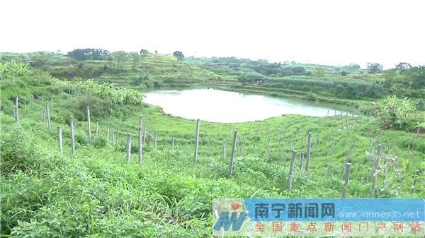 090111wcrl76rvzyblbevn.jpg