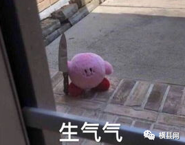 101509vqz7jppdcl1pjbgu.jpg