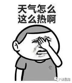 090749ynzvcnnssnl3fjsz.jpg