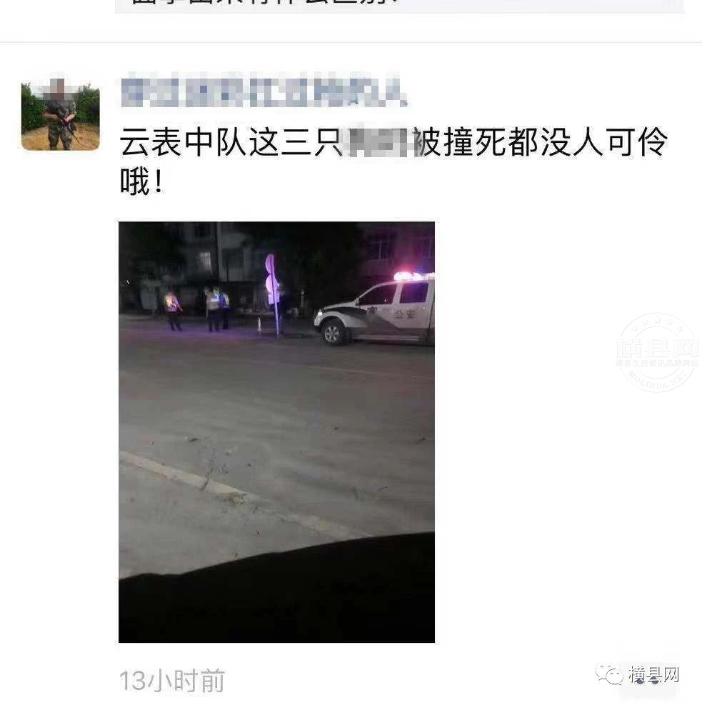 085453rtakgz9fftojja7j.jpg