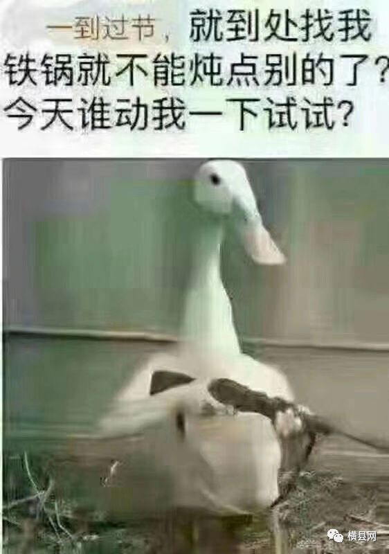 092623g5wly7eyzb5jxffo.jpg