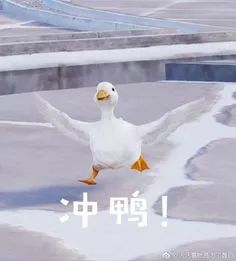 084327zlsbekck8avl6eky.jpg