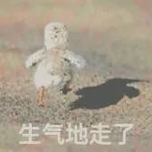 091445mzfrppena0nbwkwq.jpg