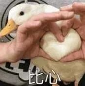 091447gae02xwweh0iyvdw.jpg