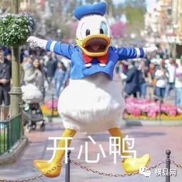 084728y141mem9uxu1mun9.jpg