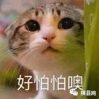 092033uqztn8tcyqq3vn3g.jpg