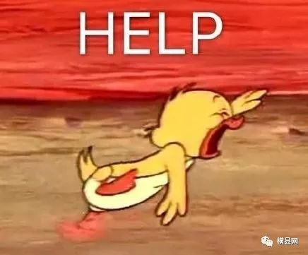 085930nxpqshqvdg7nnzdq.jpg