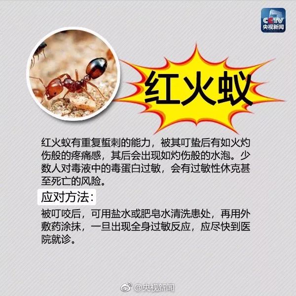 093834qk6pc1b1c1pemnmk.jpg