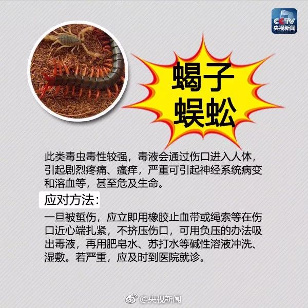 093835jeah6iaymnai976i.jpg