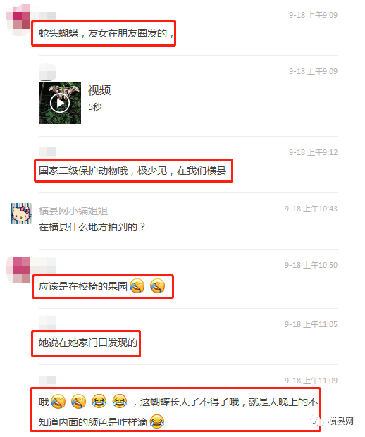 085450ubl5i9labuooz9ae.jpg