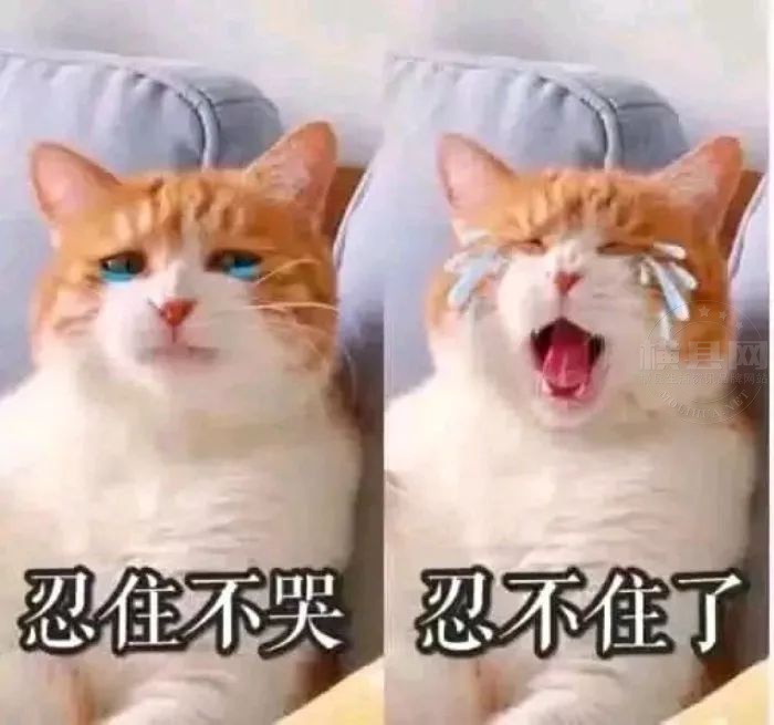 090649yssmi1qkxk1ywgkj.jpg
