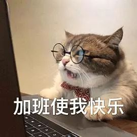 090650iwgj6og771ijwzac.jpg