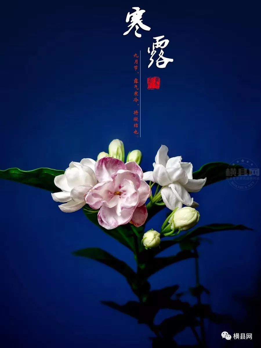 083648hyotncnuzhgstuon.jpg