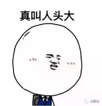 085004y9ee96g6gr92zelo.jpg